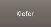 Kiefer